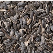 Sunflower Seeds In Shell Roasted